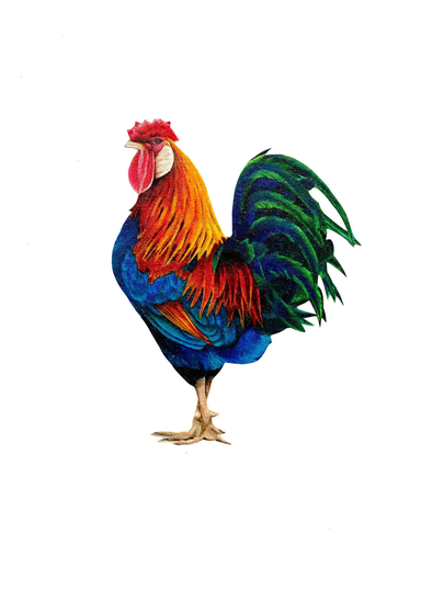 Large, Rooster, Chicken Magnet, Chickens, Farmhouse Decor, Chicken Lover, Farm Kitchen Frig Magnet, Magnets, Rooster