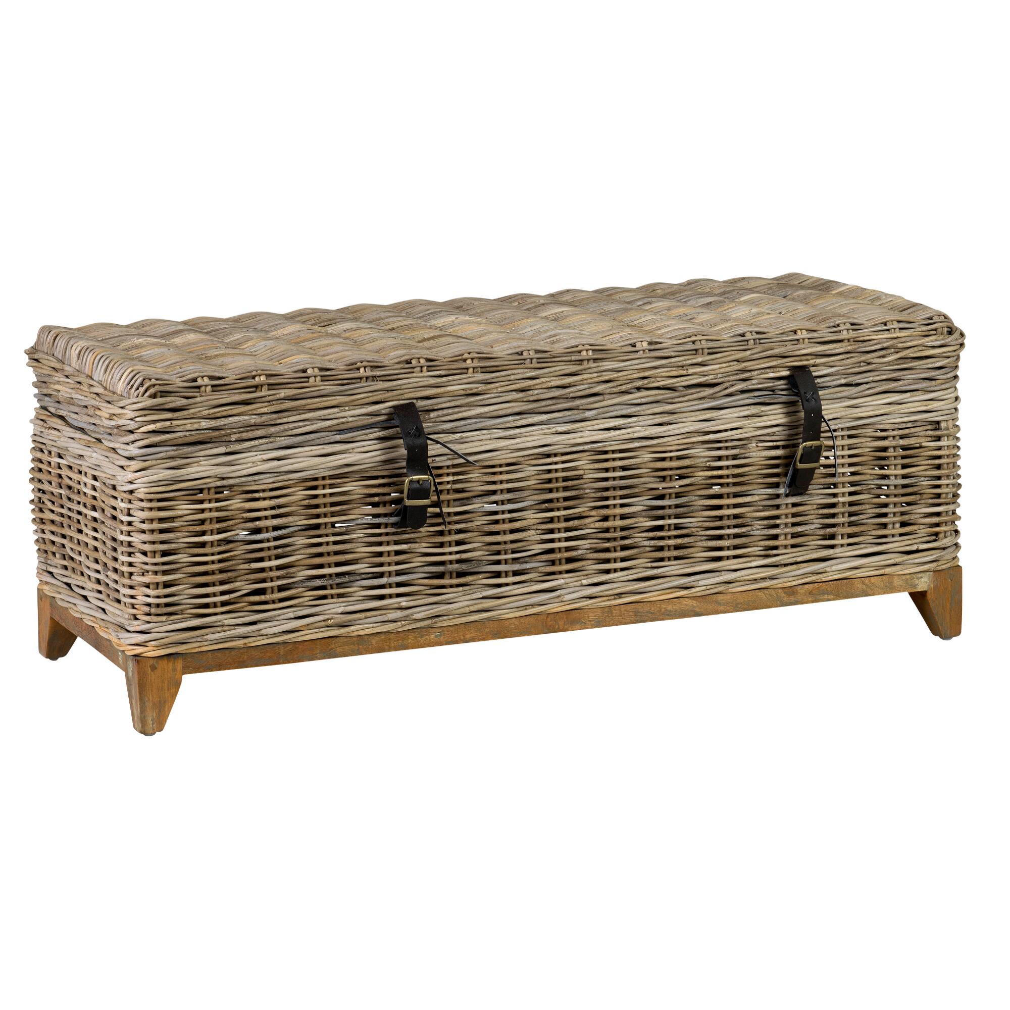 Natural Rattan Basket Bretta Coffee Table - Natural Fiber by World Market