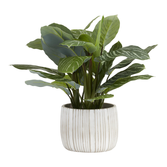 Faux Philodendron Birkin Plant in White Striped Pot: Green - Plastic by World Market