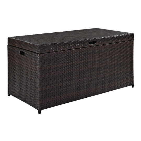 Pinamar Storage Chest: Brown - Resin by World Market