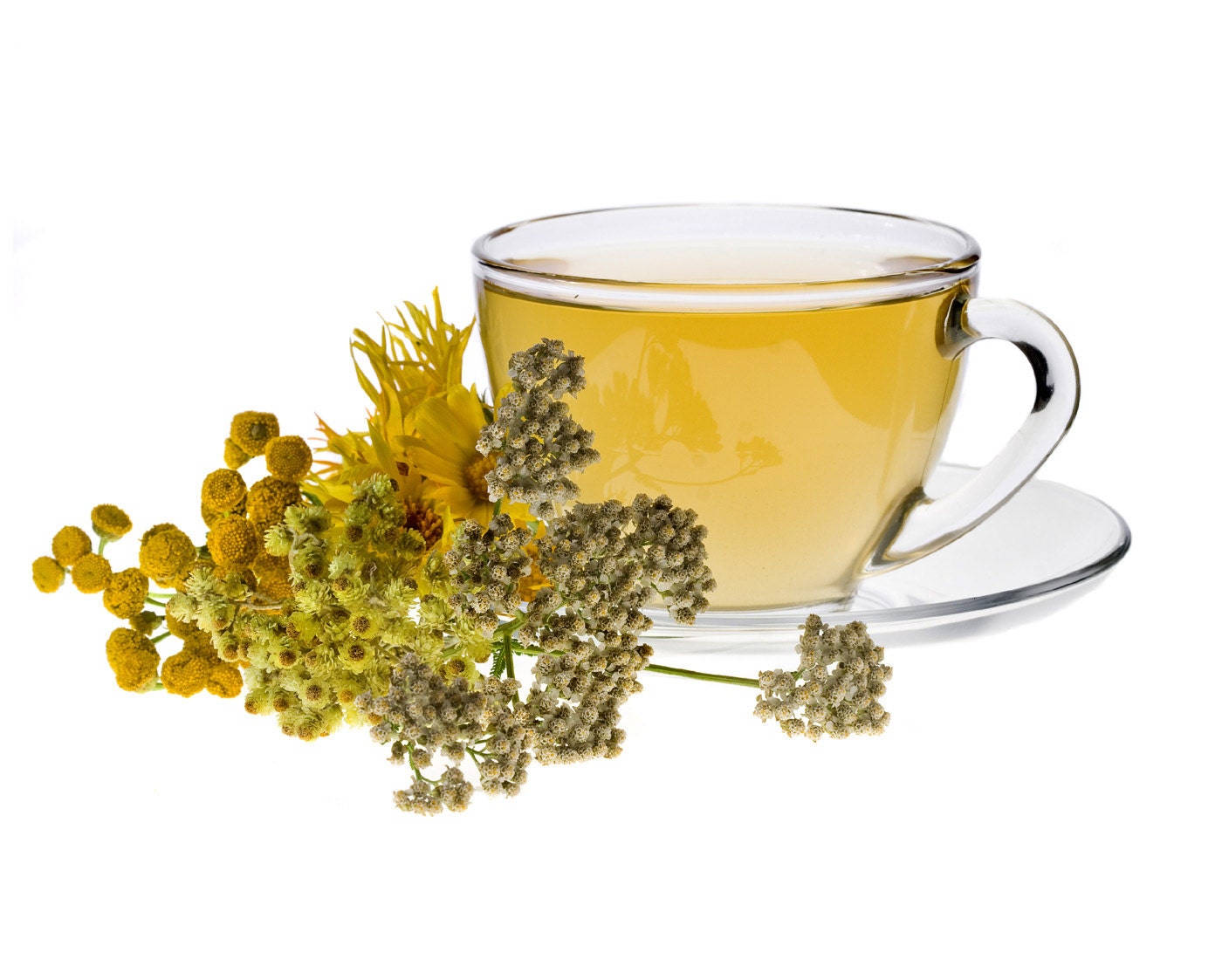 Tea Teabags 25 Chamomile Hand Blended Herbal Teabags
