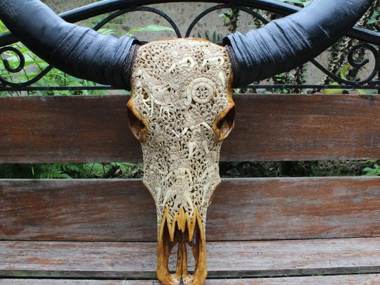 Buffalo Skull Carving Huge - Real Hand Carved Buffalo With Long Horn | Original Mahabharata Story