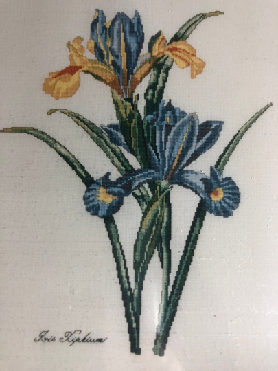 Lilac Studios, Blue Iris Chart-Pak, #7, Counted Cross Stitch Chart, Count 158 By 236 Oop
