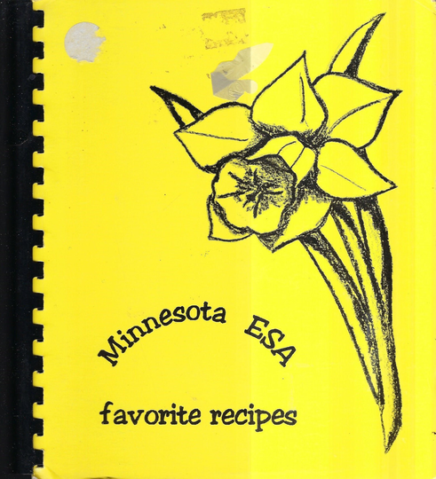 Grand Rapids Mn Vintage Epsilon Sigma Alpha Local Sorority Minnesota Esa Favorite Recipes Cookbook Community Collectible Rare Cook Book