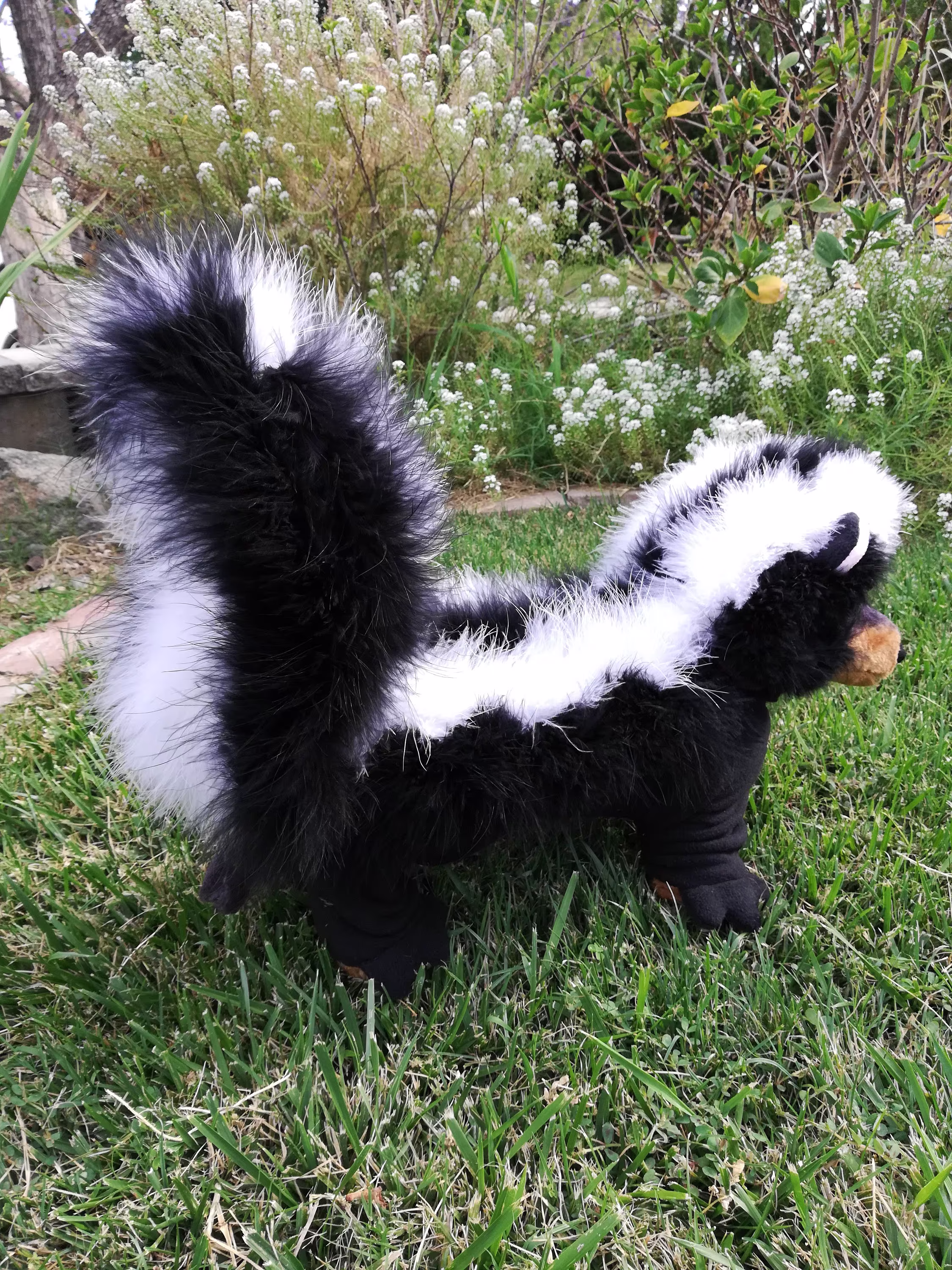 4 Legged/ Pj Style "Skunk" Costume For Small Dogs & Cats