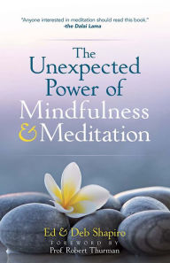 The Unexpected Power of Mindfulness and Meditation Ed Shapiro Author
