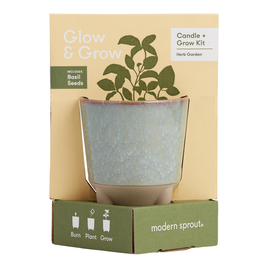Modern Sprout Basil Glow and Grow Ceramic Candle & Grow Kit by World Market
