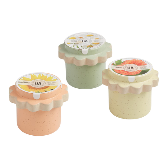 Urban Agriculture Floral Garden Ceramic Planter Grow Kit: Green by World Market