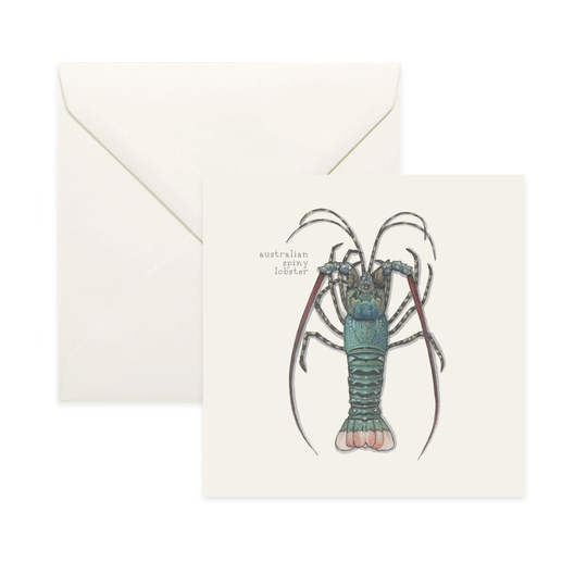 Lobsters Australian/Spiny Lobster Notecard Thank You Message Card Illustration Crustacean Shellfish Seafood Culinary