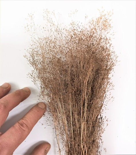 Dark Grass Sunburned Effect For Nativity Scenes & Dioramas