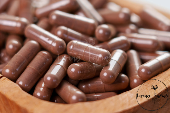 Kola Nut Capsules