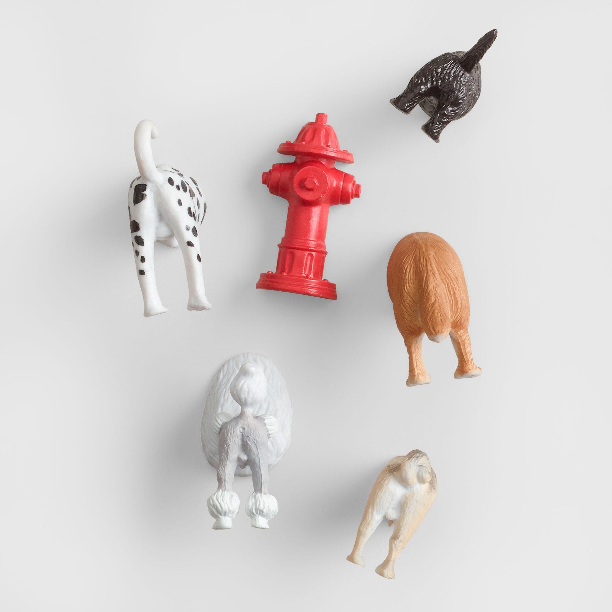 Dog Butt Magnets 6 Pack by World Market