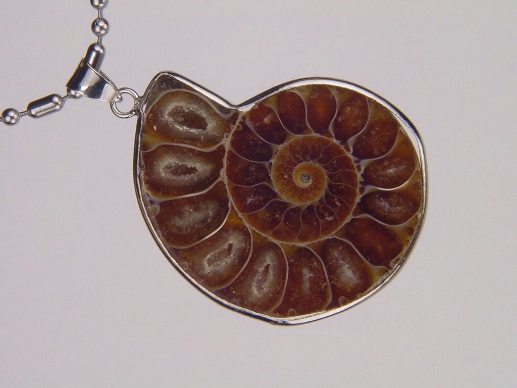 Silver Ammonite Nautiloid Fossil Pendant Necklace Jewelry With 24 Chain 6157K