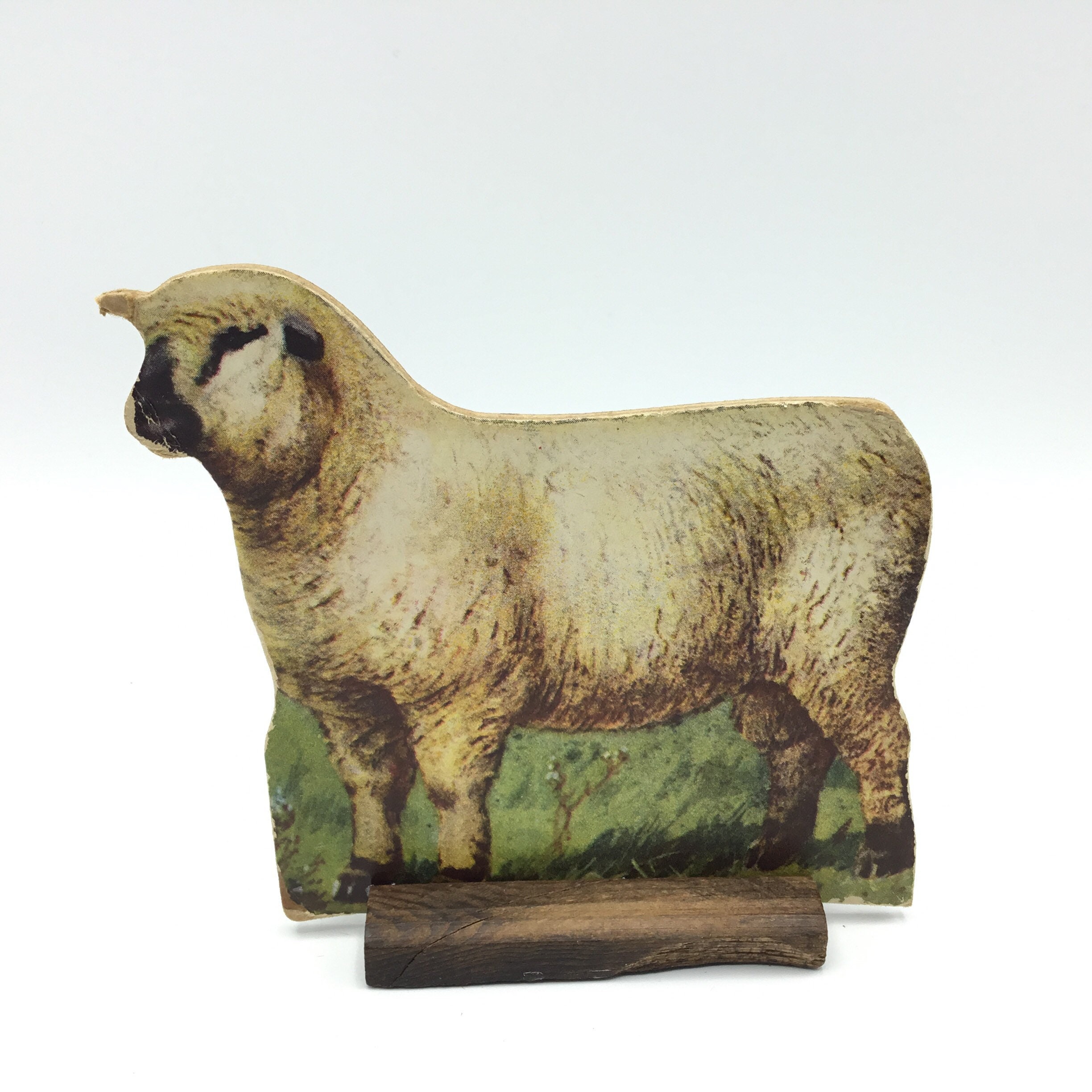 Vintage Farm Animal Stand-Up Educational Graphic Toy Whitman Lithograph Hampshire Ram