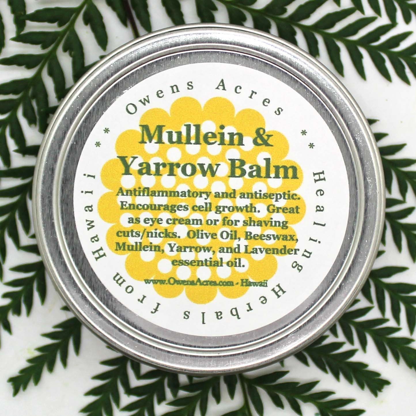 Mullein & Yarrow Salve/Herbal Salve, Shaving Nicks, Eye Cream, Skin Balm