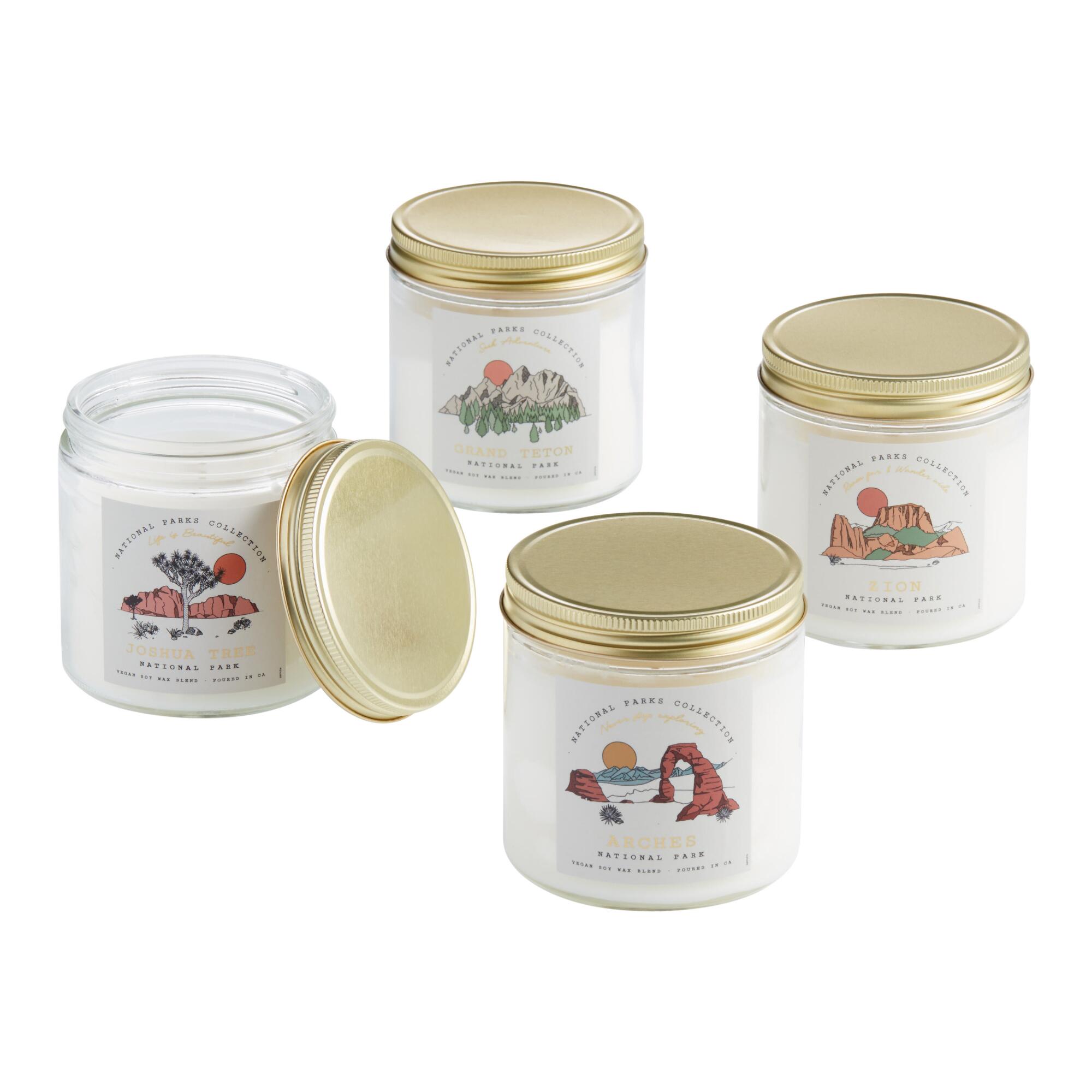 American National Parks Scented Candle: Multi - Scented Wax by World Market