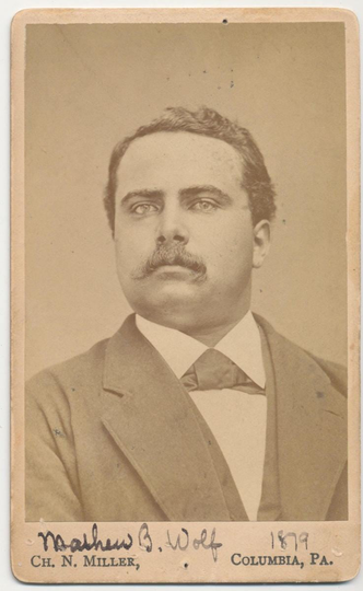 1879 Cdv Photo Of Man With Full Mustache//19Th Century Portrait Well Groomed Man//Antique Matthew B. Wolf