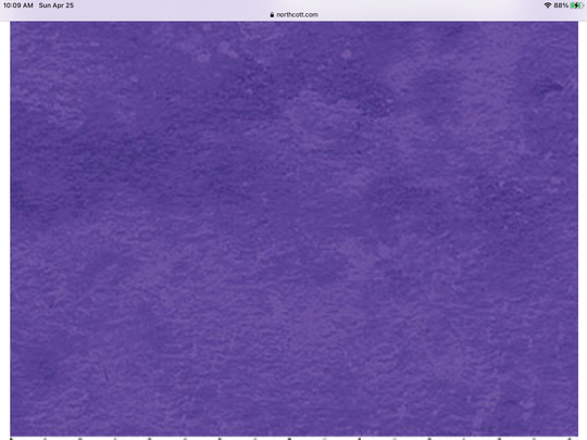 Jacaranda Blender in Textured Pansy Cotton Fabric By Northcott