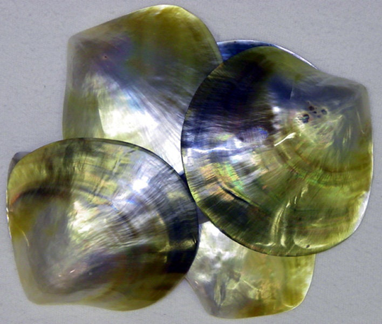 Polished Natural Black Lip Oyster Shell Mop Mother Of Pearl 2"-2-1/2" Seashell Craft | 1 Shell