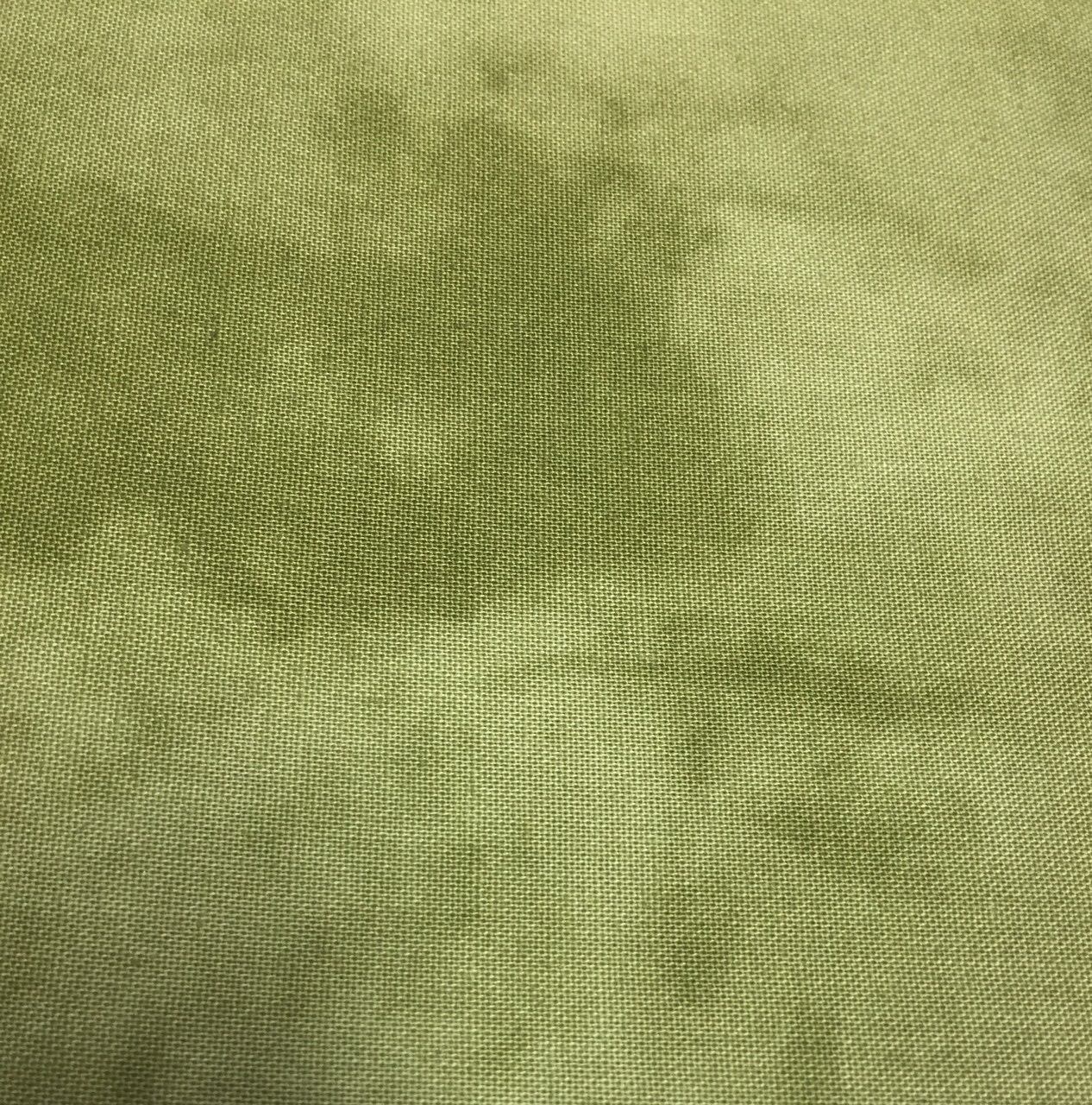 Quilter's Shadow Sage Green Blender 4516-805 From Blank By The Yard