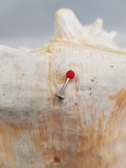 16G Stainless Steel Labret 8mm With Red Acrylic Ball End Cartilage Monroe Externally Threaded