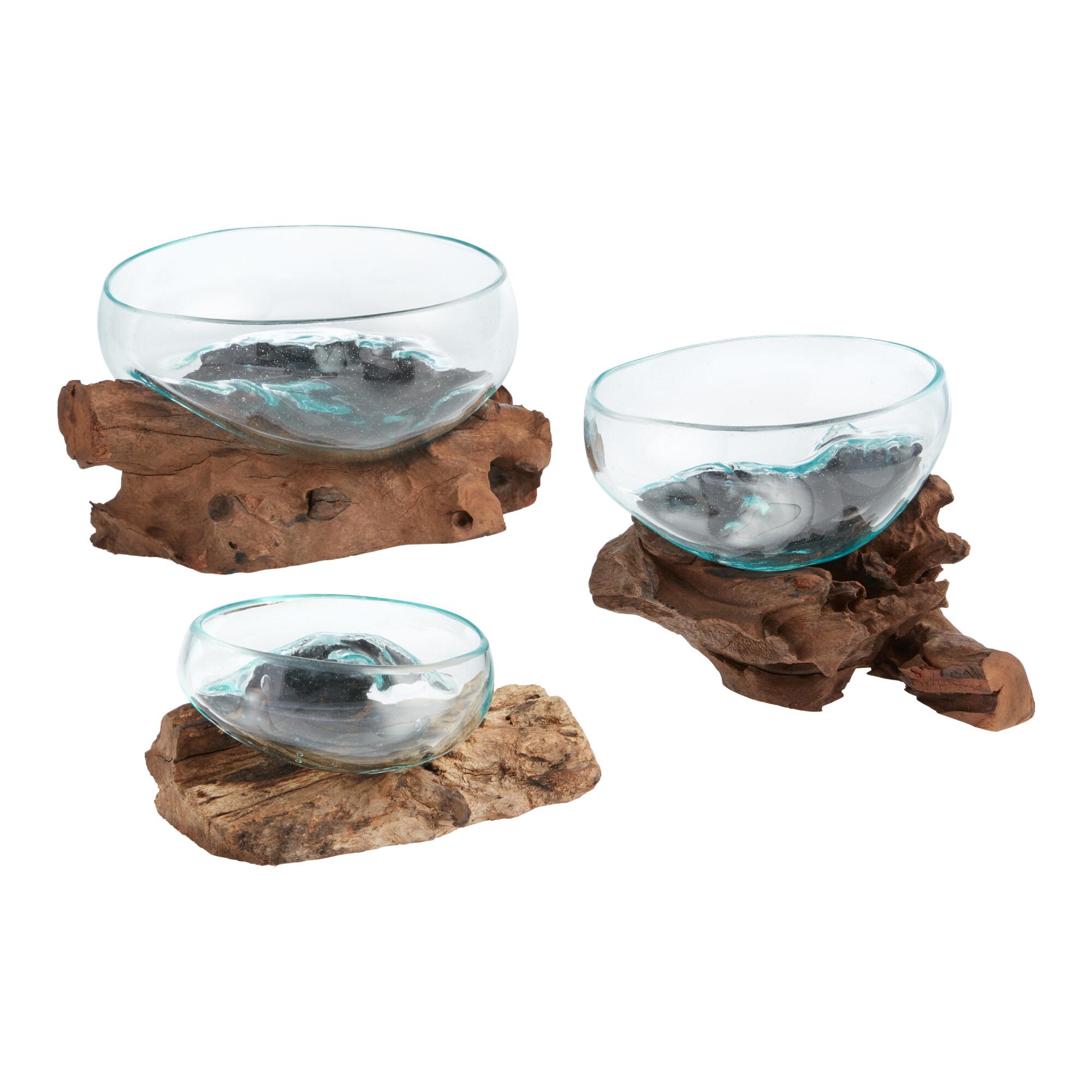 Natural Driftwood And Blown Glass Bowl by World Market