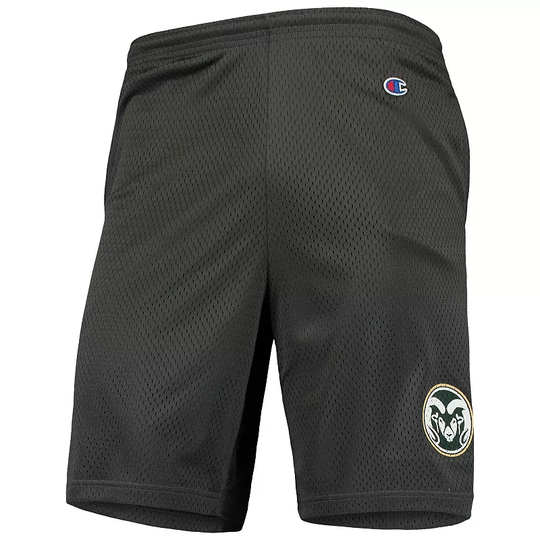 Men's Champion Charcoal Colorado State Rams College Mesh Shorts, Size: Large, CST CHARCO