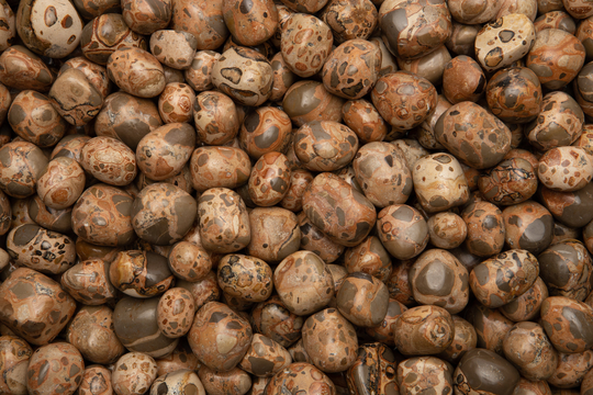 Fantasia Materials 1/4 lb Natural Leopardite Tumbled Stones From Peru