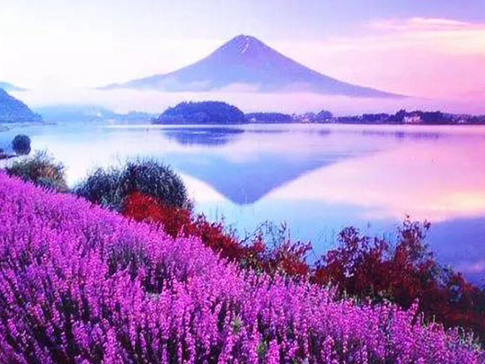 Mountain Lake Flower 5D Diamond Painting New Arrivals Home Decor Mosaic Landscape Picture Of Rhinestones Full Layout