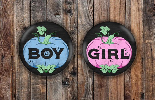 Pink & Blue Pumpkin Chalkboard Style Halloween Gender Reveal Pins