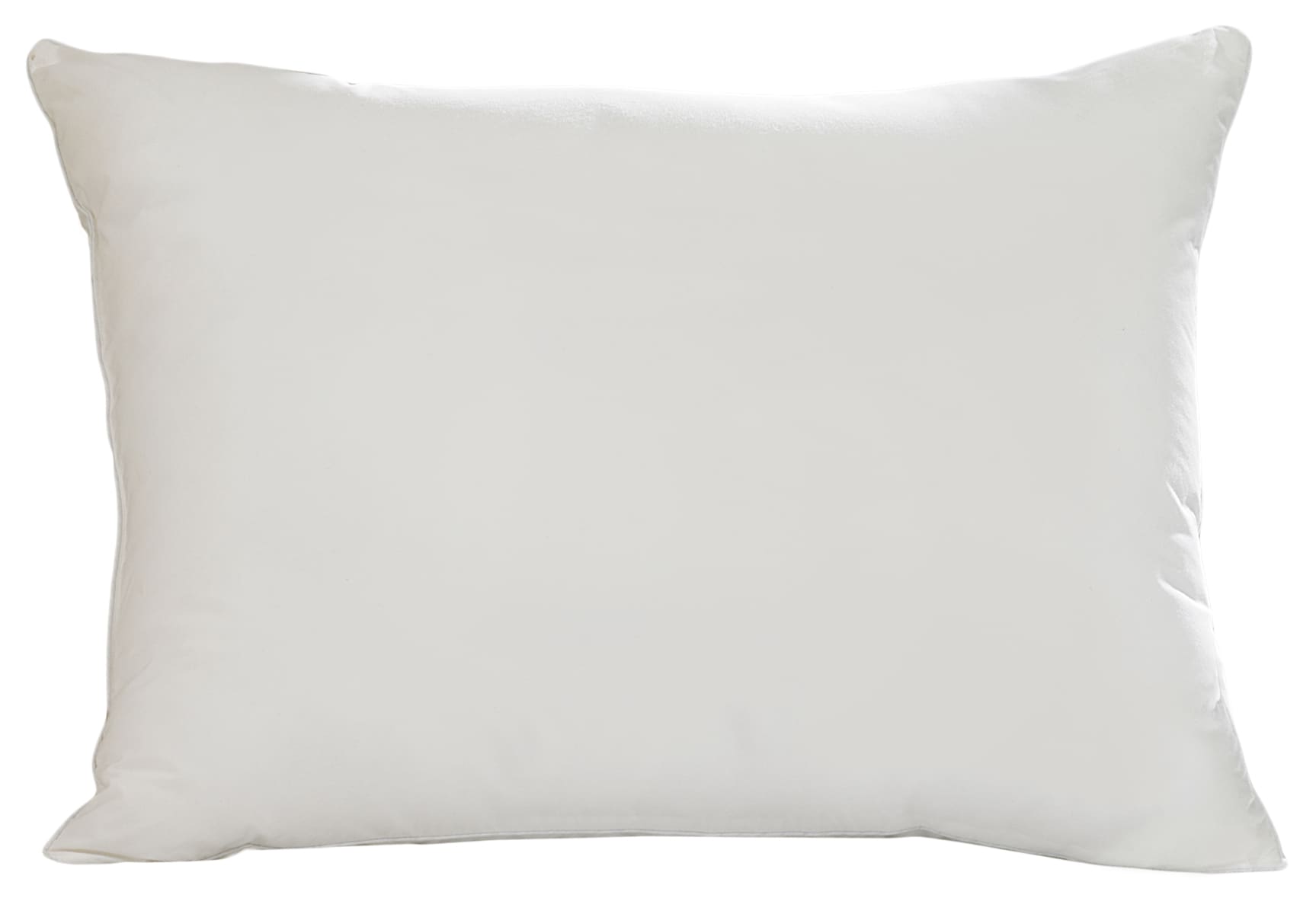 Aller-Ease 20-in x 36-in White Blend Indoor Decorative Pillow Polyester | 31014ATC