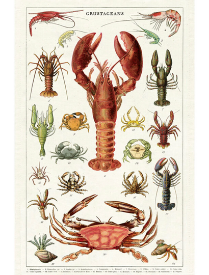 A Kitchen Tea Towel Featuring A Collection Of Vintage Crustaceans Making It Perfect Gift For Any Cook, Fisherman Or Fisherwoman