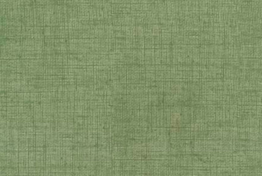 A Pretty Sage Green Blender From Timeless Treasures