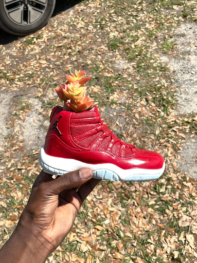 Air Jordan Wl96' 11S Sneaker Planter By Potdega/Shoe Pot