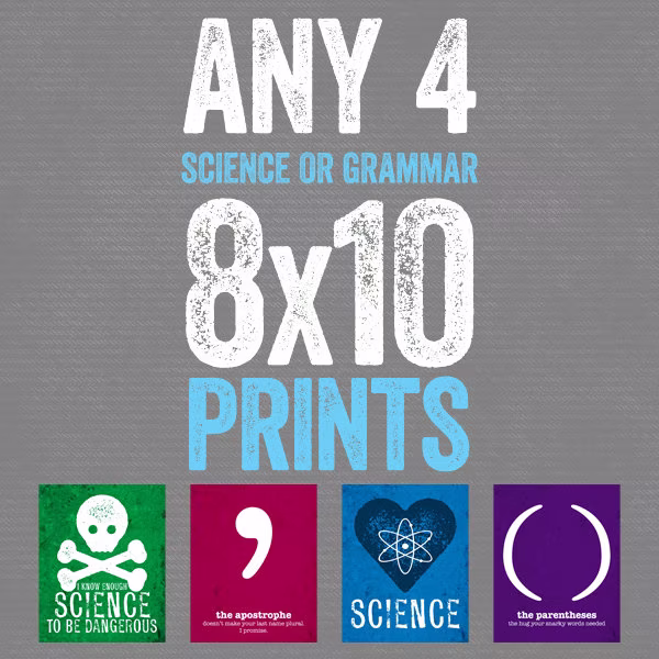 Set Of Any 4 Science/Grammar Prints Home Decor Gift Teacher Gifts For Teachers English