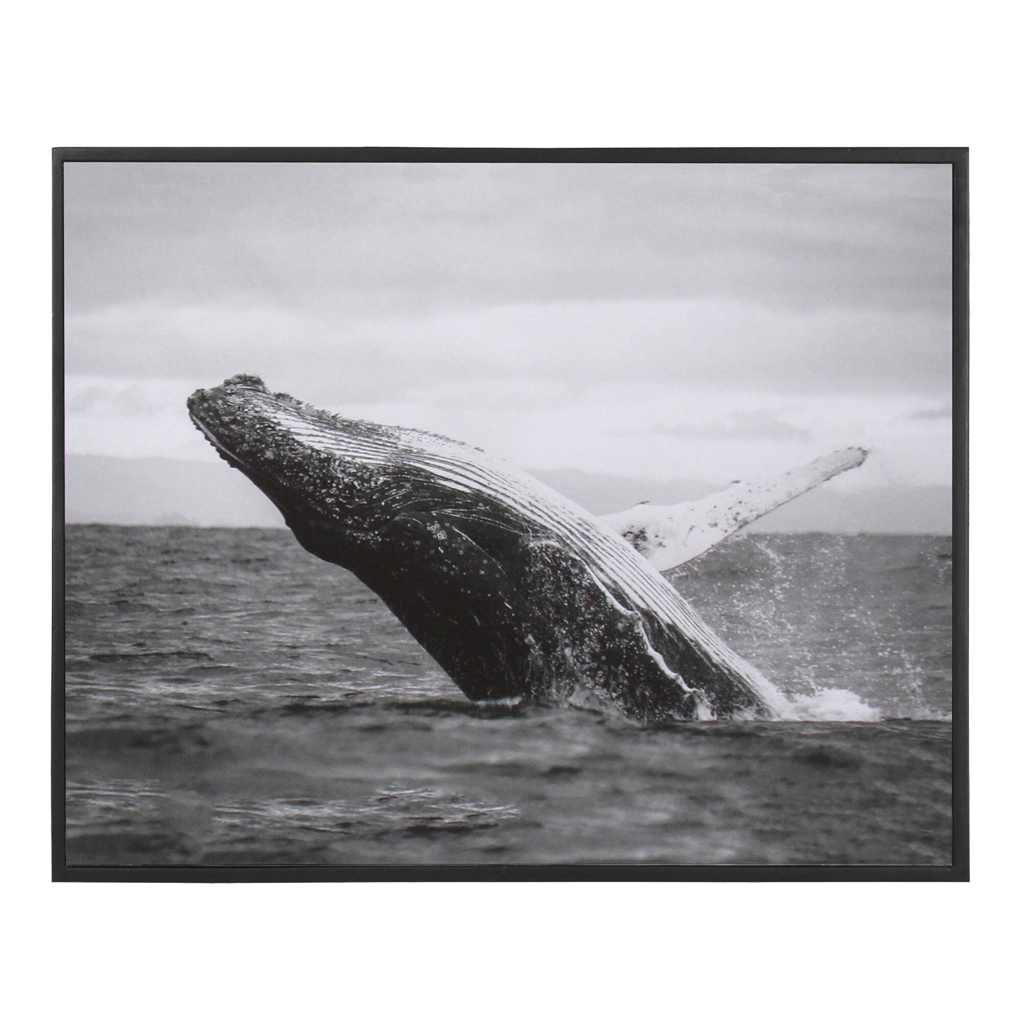 Jumping Whale Black And White Framed Canvas Wall Art: Multi - Small by World Market