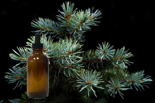 Christmas Tree Essential Oil Blend 1, 2, 3, 4, 5, 6, 8, 12, 16 Oz lb Samples Glass Options