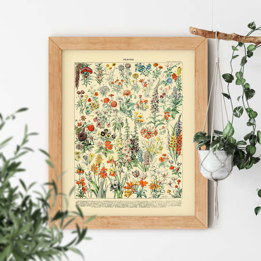 Vintage Aesthetic Fleurs Ii Floral Wildflower Flower Tulip Old Science Textbook Artwork Poster Adolphe Millot Room Decor Plant Art Print