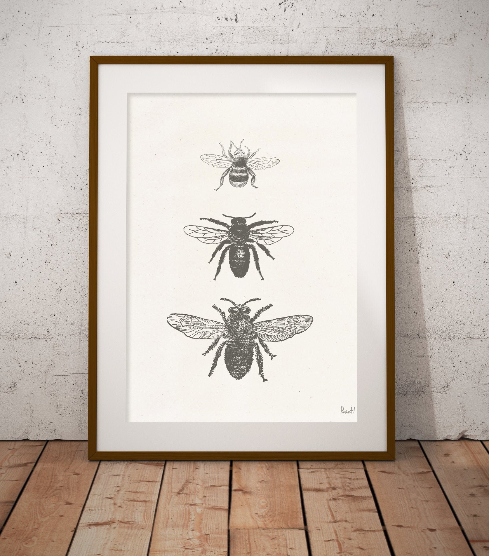 Wall Art Print Bees Types Print - Housewarming Gift Bee Art Save The Bees Bfl234Wa3