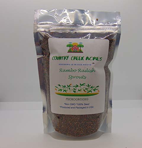 Rambo Radish Sprouting Seed, Non GMO - 5 oz - Country Creek Brand - Rambo Radish