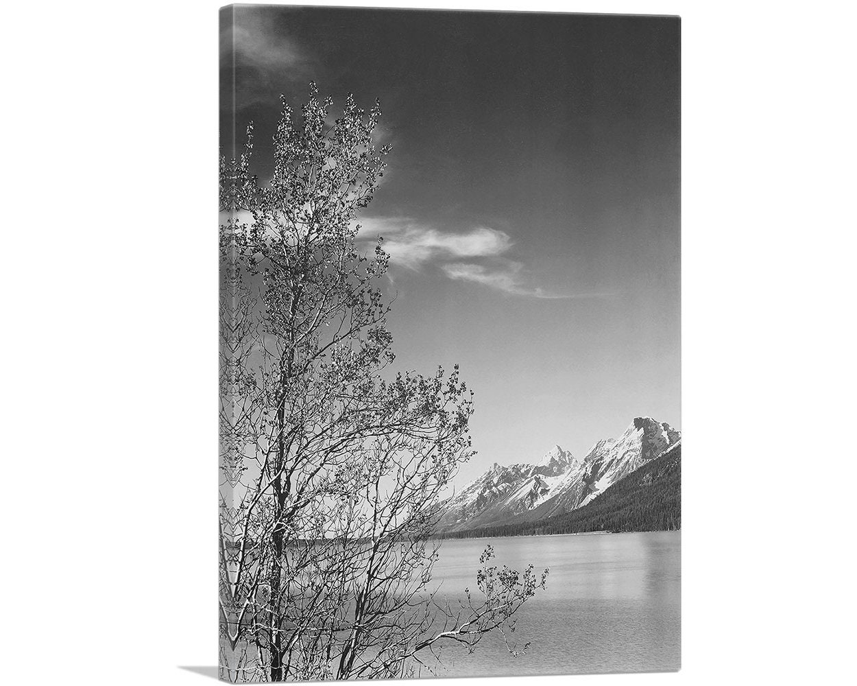 Artcanvas Grand Teton & Tree - National Park Wyoming Black White Photography Canvas Art Print