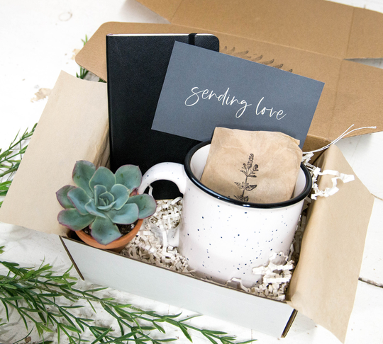 Sending Love Gift Box With Leather Journal & Campfire Mug | Succulent