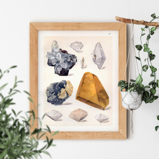 Minerals & Gems Xiii Vintage Illustration By Reinhard Brauns 1903 Precious Geology Identification Artwork Small Or Big