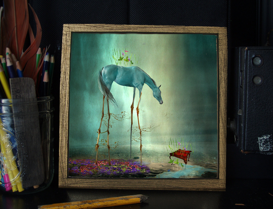 Social Distancing Horse 8x8 Matted Mixed Media/ Photography Limited Edition Art