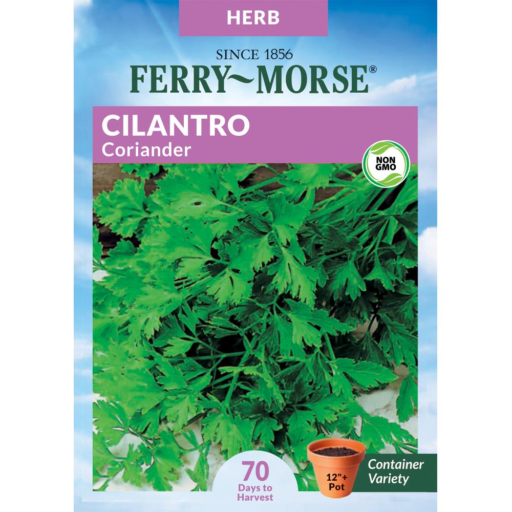 Ferry-Morse 2-Gram Cilantro Coriander Herb (Seed Packet) | 554295.178.906087