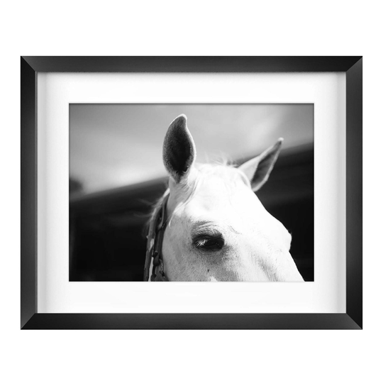 Black And White Horse Closeup Framed Wall Art by World Market