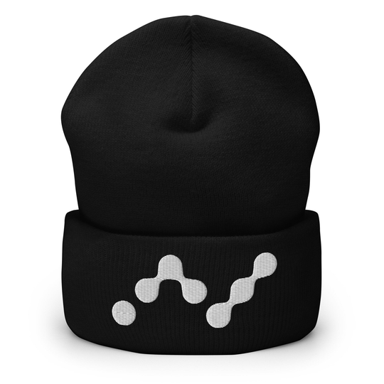 Nano Beanie, Embroidered Hat, Crypto Gift