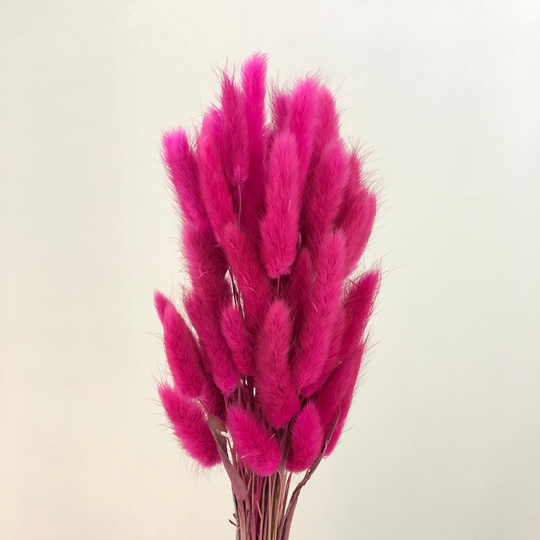About 60 Stems Of High-Quality Natural Dried Flowers, Bouquets, Flower Arrangements, Rabbit Tail Grass