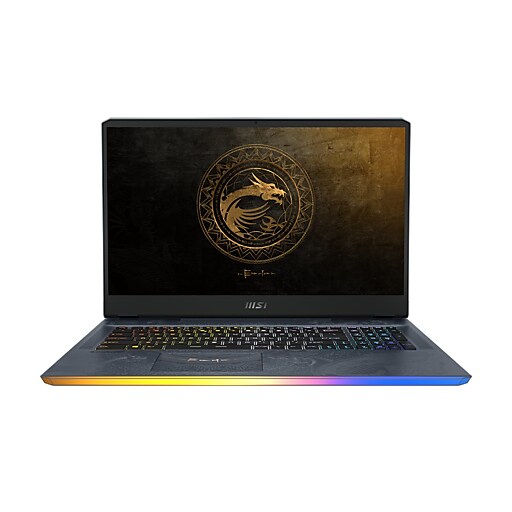 MSI GE76 11UG 283 Raider 17.3" Laptop, Intel i9, 32GB Memory, 1TB SSD, Windows 10 (GE7611283)