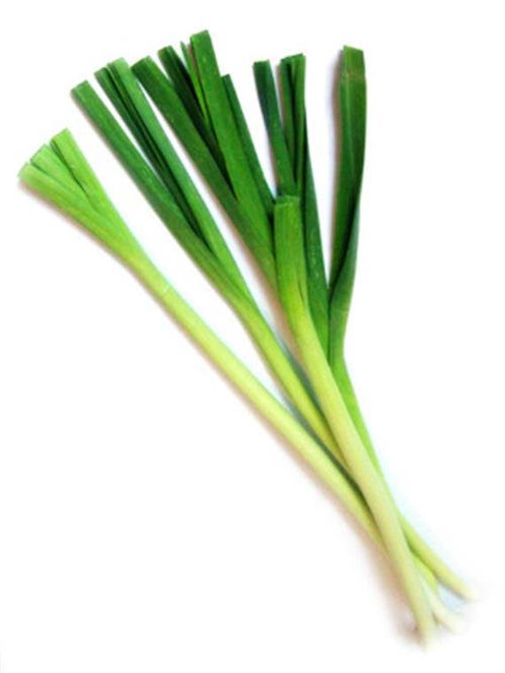 500 Chinese Leek | Oriental Garlic/Chives Chinese Flat Chives Allium Tuberosum Vegetable Seeds